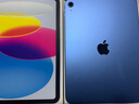Apple/苹果【国家补贴】iPad 11英寸 A16芯片2025年款 平板电脑 (128GB WLAN版/学习办公娱乐)蓝色 实拍图