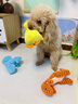 HELLOJOY狗狗玩具发声乳胶耐咬自嗨解闷小狗幼犬柯基大型犬宠物狗用品 实拍图