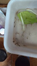 活体饲料鱼麦穗鱼小鱼苗喂龙鱼罗汉鳄龟开口饲料鱼淡水鱼活鱼包活 饲料鱼2-4厘米100条送10%防损 实拍图
