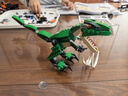 乐高（LEGO）积木拼装31058 凶猛霸王龙男孩女孩儿童玩具生日礼物 实拍图
