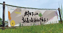 COOKSS挖耳勺粘耳棒掏耳神器掏耳勺安全粘着式棉签棒儿童采耳小号24支 实拍图