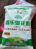 鑫乐雪花粉5斤【河套平原雪花粉】麦芯粉 中筋面粉 包子饺子面条 实拍图