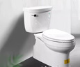 科勒（KOHLER）齐悦连体马桶家用五级旋风虹吸节水坐便器抽水静音缓降座厕28866 暗藏线置物升级款+即热盖板18659 305/300mm 实拍图
