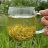 花色堂2025新茶张美丽莓茶张家界永顺野生龙须嫩芽尖藤茶长寿湖南特产 精品野生新货[牙尖莓茶]仅剩7 头茬莓茶牙尖125克[1罐]含罐 实拍图
