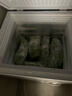 荣事达（Royalstar）小冰柜家用小型冷冻保鲜迷你冷藏商用卧式冷柜单用储母乳柜节能省电 【一级节能 全国联保】单温 138L 实拍图