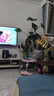 ANGI BABY婴儿学步车多功能防侧翻6/7-18个月婴幼儿学走路男女孩可坐助步车 实拍图