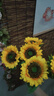 仿真花向日葵假花干花客厅卧室落地摆放太阳花绢花花室内装饰花 黄色 5支 实拍图