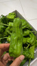 格沃斯（GEWOSI）现摘新鲜青椒农家自种青椒薄皮椒微辣芜湖椒椒应季新鲜蔬菜 3斤精选 实拍图