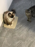 倍思电容笔iPad苹果笔【三丽鸥凯蒂猫】适用25年Pro/Air/Mini/iPad11平板触控触屏手写笔applepencil 实拍图