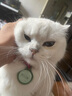 ERGOBABY宠物猫咪洗耳液耳螨狗狗滴耳液猫耳朵清洁耳臭耳痒耳垢耳炎感染耳油耳漂洁耳液 60ml 实拍图