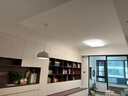 松下（Panasonic）LED吊灯餐厅灯具吸顶餐吊灯饰 现代简约创意吧台灯另购E27光源 实拍图