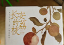 长安的荔枝 马伯庸 见微系列代表作 继大医破晓篇/长安十二时辰/两京十五日后历史短篇小说书籍畅销 长安的荔枝 实拍图