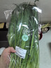 绿色韭菜 250g 实拍图