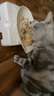 皇家搭档三文鱼猫罐头猫零食成猫幼猫罐头宠物零食85g*24罐 实拍图