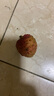 【产地直采】妃子笑荔枝1.5kg（单果16g起） 实拍图