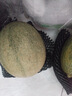 京鲜生 哈密瓜/西州蜜 2粒装 净重5-7斤 单果2.5斤起 生鲜水果礼盒 实拍图