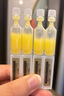 夸迪战痘绿次抛精华12支（1.5ml*5支*2+1ml*2支）温和净痘护肤品 实拍图