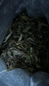 中茶茶叶蝴蝶白茶茶叶礼盒白牡丹礼盒福建白茶礼盒散茶300g送礼礼品 实拍图