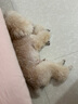 麦富迪 宠物狗狗零食 成犬幼犬训狗奖励鸡肉细丝1200g 实拍图