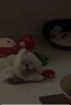 小型犬3件套小号鹿角+响纸狮子+藏食橘子嗅闻发声狗狗玩具 实拍图