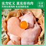 金锣火腿肠 整箱鸡肉肠共3000g 50支/箱 休闲零食烧烤火腿肠 露营 实拍图