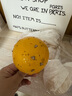 雷灭速果蝇诱捕器粘虫球小飞虫诱捕器粘苍蝇克星家用室内外诱蝇捕蝇神器 实拍图