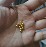 金小貅转运珠黄金串珠配件999足金金珠硬金古法配珠光面隔珠圆形散珠 0.4g,4mm光珠-2颗-【重版】 实拍图