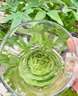福茗源茶叶绿茶 碧螺春 花果香明前2025新茶罐装150g嫩芽春茶叶自己喝 实拍图