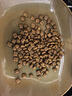 皇家皇家幼猫奶糕 幼猫猫粮 BK34 通用粮 1-4月 2KG 实拍图