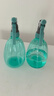 喷壶浇花浇水喷雾器气压式喷水壶家用园艺养花500ml 南瓜喷壶透蓝【1个装】 实拍图