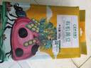 盖亚农场（Gaia Farm）有机黄豆非转基因东北大豆 豆浆豆 真空装 有机黄豆900g*1袋 实拍图