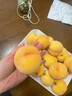 壹萌果蔬山东蒙阴黄桃鲜果当季新鲜毛桃子水果现摘现发整盒送礼 5斤精品果【单果100g+】净4.5斤 实拍图