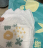 巴布豆（BOBDOG）新菠萝拉拉裤XXXL码32片婴儿尿不湿 超薄【品牌直供 安心品质】 实拍图