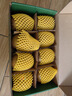 佳沛（zespri）新西兰阳光金奇异果8粒装单果约173-204g水果源头直发 实拍图