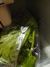  大芹菜约400g 实拍图