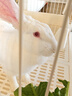 比克熊兔子自动喂食器食盆粉色兔子大容量食碗龙猫荷兰猪自动续粮1500ml 实拍图