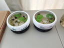 无孔铜钱草花盆陶瓷多肉大口径水仙花睡莲碗莲荷花一叶莲水培容器 水培1839694（带塑料底座） 小 实拍图