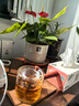 忆壶茶（YIHUTEA） 玻璃茶壶侧把泡茶壶 电陶炉煮茶器功夫茶具套装煮茶壶茶道杯 【贈茶盘】两品杯+壶550ml 实拍图