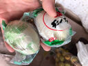 红太阳 高邮正宗红心流油咸鸭蛋奎级 10枚*65g 礼盒咸淡适中 高邮特产 实拍图