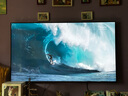 三星（SAMSUNG）65DU8000C 65英寸 平板液晶AI电视 超薄4K AI智能补帧 无开机广告 UA65DU8000CXXZ【金晨推荐】 实拍图