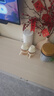 奶爸爸（Nicepapa）翻盖奶瓶 240ML奶瓶宽口径婴儿宝宝PPSU奶瓶 咬吸水嘴（12个月+） 实拍图