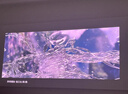 Vidda C3 Ultra 海信4K超高清三色激光投影仪家用投影机 1.67倍光学变焦+12大科技领先办公家用家庭影院 实拍图