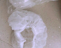 舜选一次性头套帽子无纺布300克 SHW100-21英寸防尘无尘帽厨房厨师网帽条形发套 白色100只 实拍图