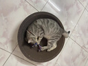 疯狂的主人 猫抓板窝特大号猫玩具猫爪板猫抓盆不掉屑猫窝碗形圆形瓦楞纸 实拍图