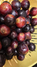 静羽云南夏黑蓝莓葡萄【顺丰】无籽提子新鲜现摘大颗粒孕妇时令水果 夏黑葡萄3斤【一级果礼盒装】 源头直发 实拍图