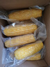 京鲜生东北水果玉米3.6斤 8根单根220g东北甜玉米棒开袋即食 源头直发 实拍图