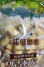 西域皇后新疆特产手工奶醇奶疙瘩500g无蔗糖奶皮子奶酪条块糕休闲零食 实拍图
