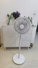 美的（Midea）【品质推荐】七叶轻音柔风电风扇/家用省电落地扇/台式电扇/广角摇头节能宿舍小型风扇 SAE35CA 实拍图