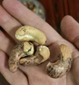 三只松鼠开心果500g/袋装 坚果炒货无漂白干果休闲零食品送礼 实拍图
