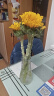 玻璃花瓶透明植物插花瓶水培容器大花瓶装饰客厅摆件 透明水波纹20*6*9 1个装 实拍图